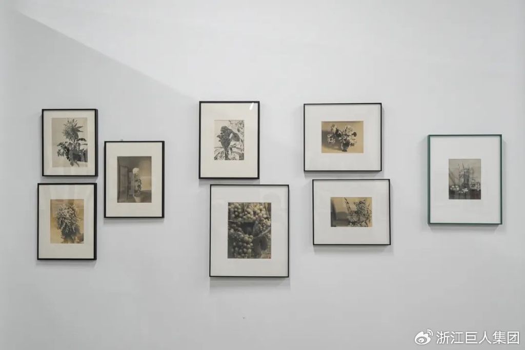 博覽相機(jī)文化 致敬科技匠心——南潯巨人照相機(jī)博物館開(kāi)幕